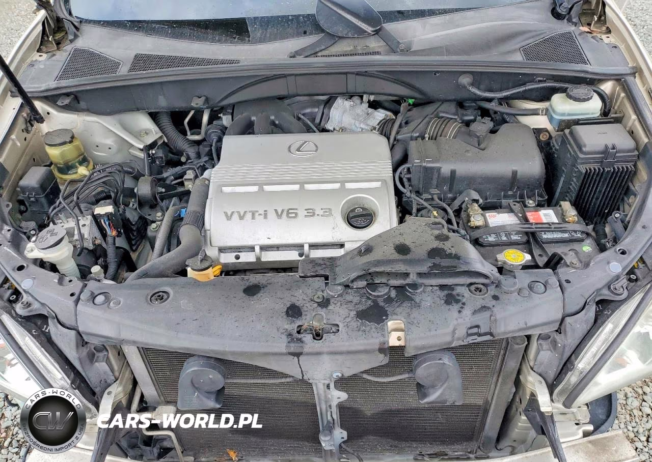 2004 Lexus Rx 330 VIN:JTJGA31U240033888 - 12