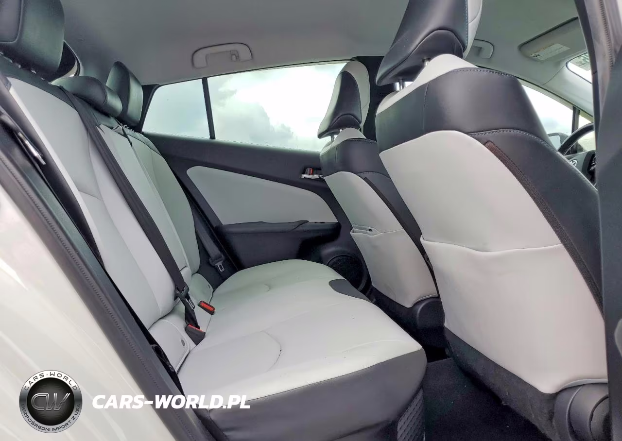 2019 Toyota Prius Xle VIN:JTDKARFU5K3075119 - 10