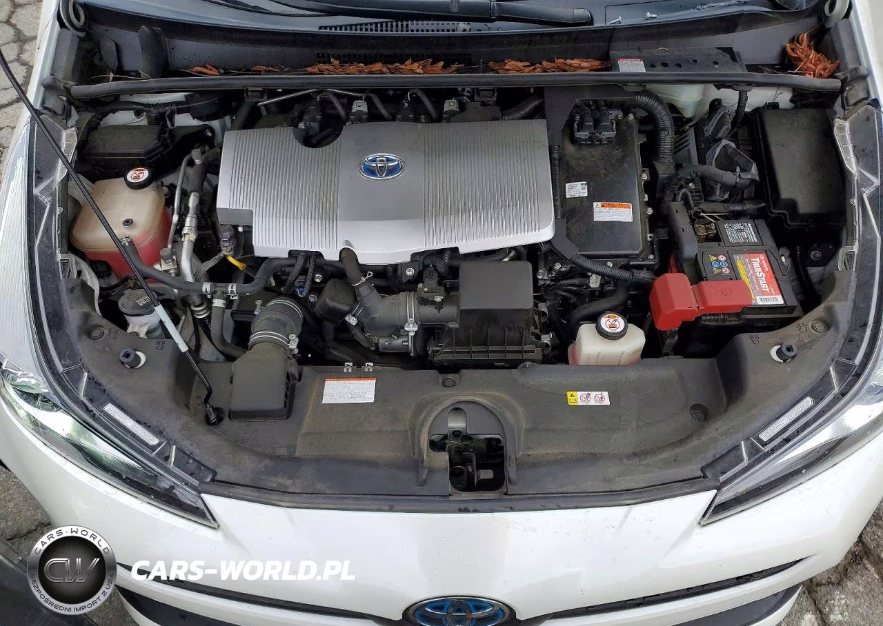 2019 Toyota Prius Xle VIN:JTDKARFU5K3075119 - 11