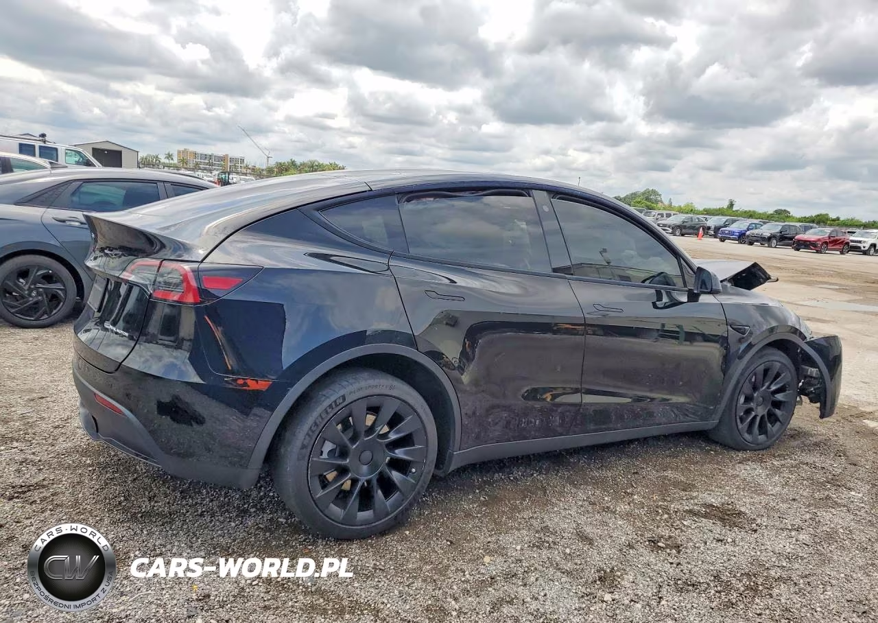 2023 Tesla Model Y VIN:7SAYGDEE3PA044497 - 3