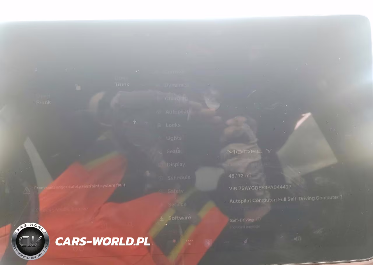 2023 Tesla Model Y VIN:7SAYGDEE3PA044497 - 9