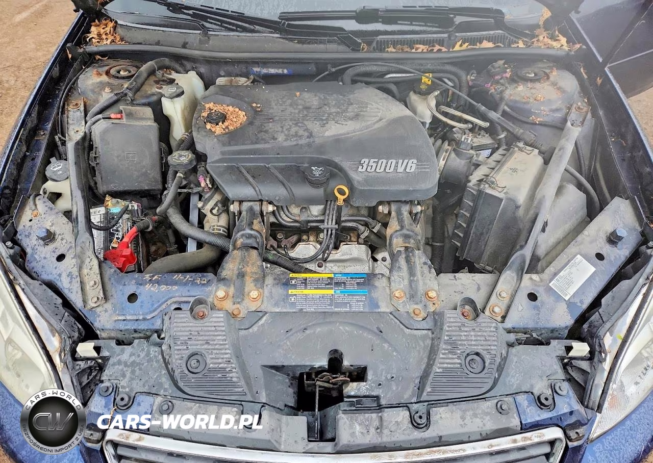 2009 Chevrolet Impala Ls VIN:2G1WB57KX91158445 - 11
