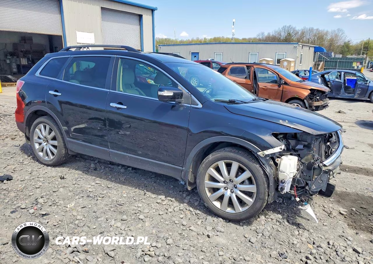 2009 Mazda Cx-9 VIN:JM3TB38V390171662 - 4