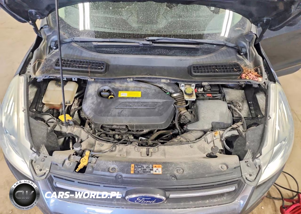 2016 Ford Escape Se VIN:1FMCU0GX3GUB12665 - 11