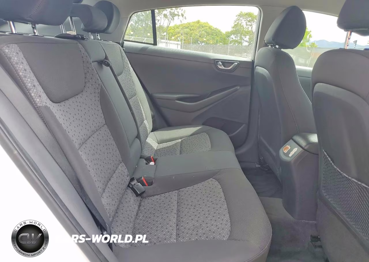 2019 Hyundai Ioniq Electric Base VIN:KMHC75LH3KU045514 - 10