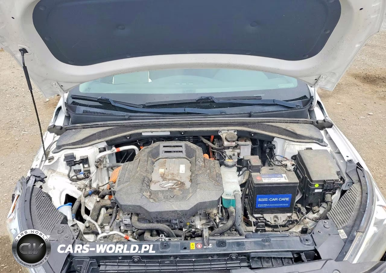 2019 Hyundai Ioniq Electric Base VIN:KMHC75LH3KU045514 - 11