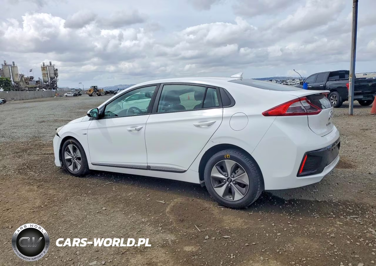 2019 Hyundai Ioniq Electric Base VIN:KMHC75LH3KU045514 - 2
