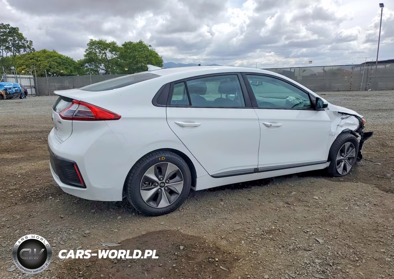 2019 Hyundai Ioniq Electric Base VIN:KMHC75LH3KU045514 - 3