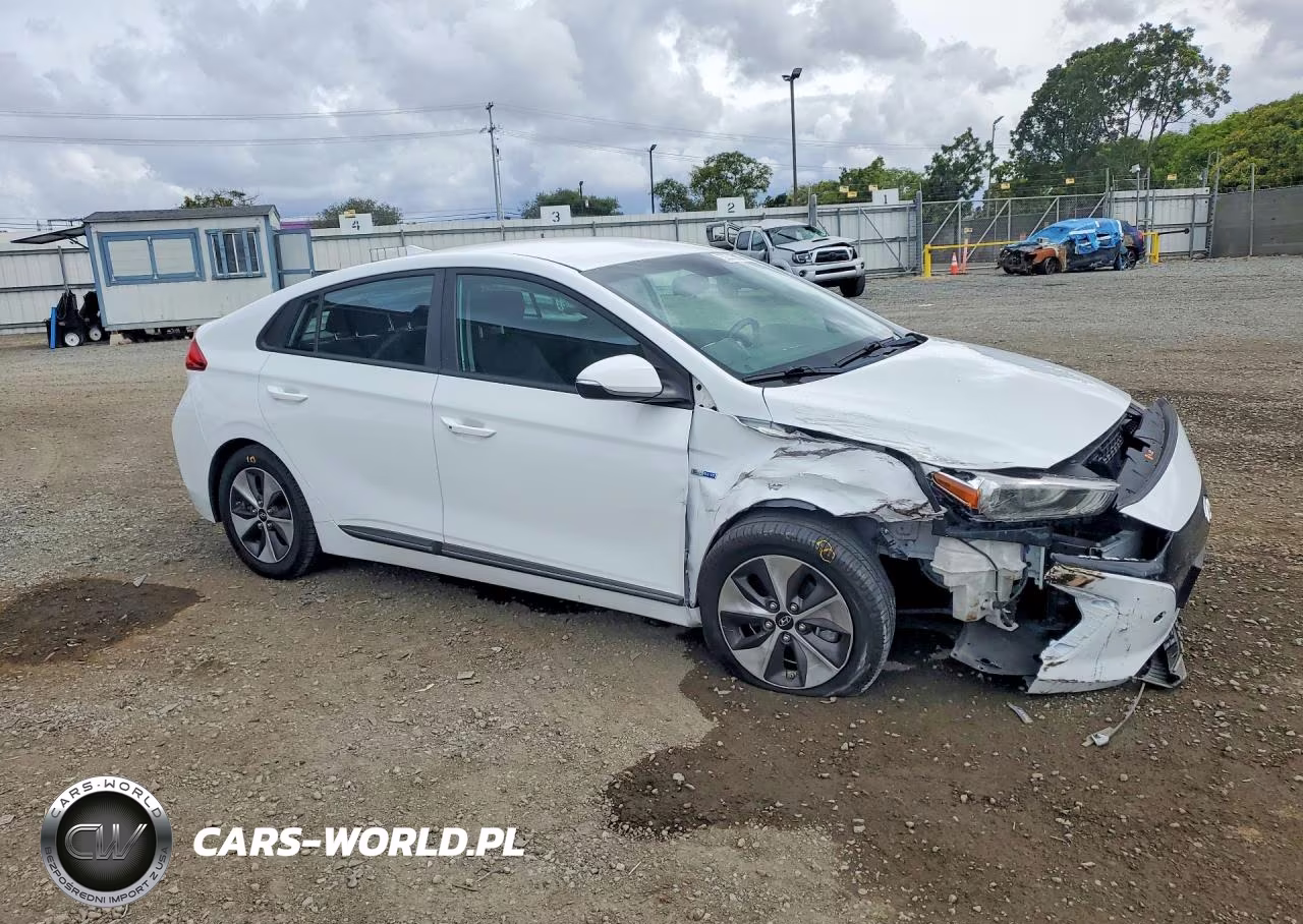 2019 Hyundai Ioniq Electric Base VIN:KMHC75LH3KU045514 - 4
