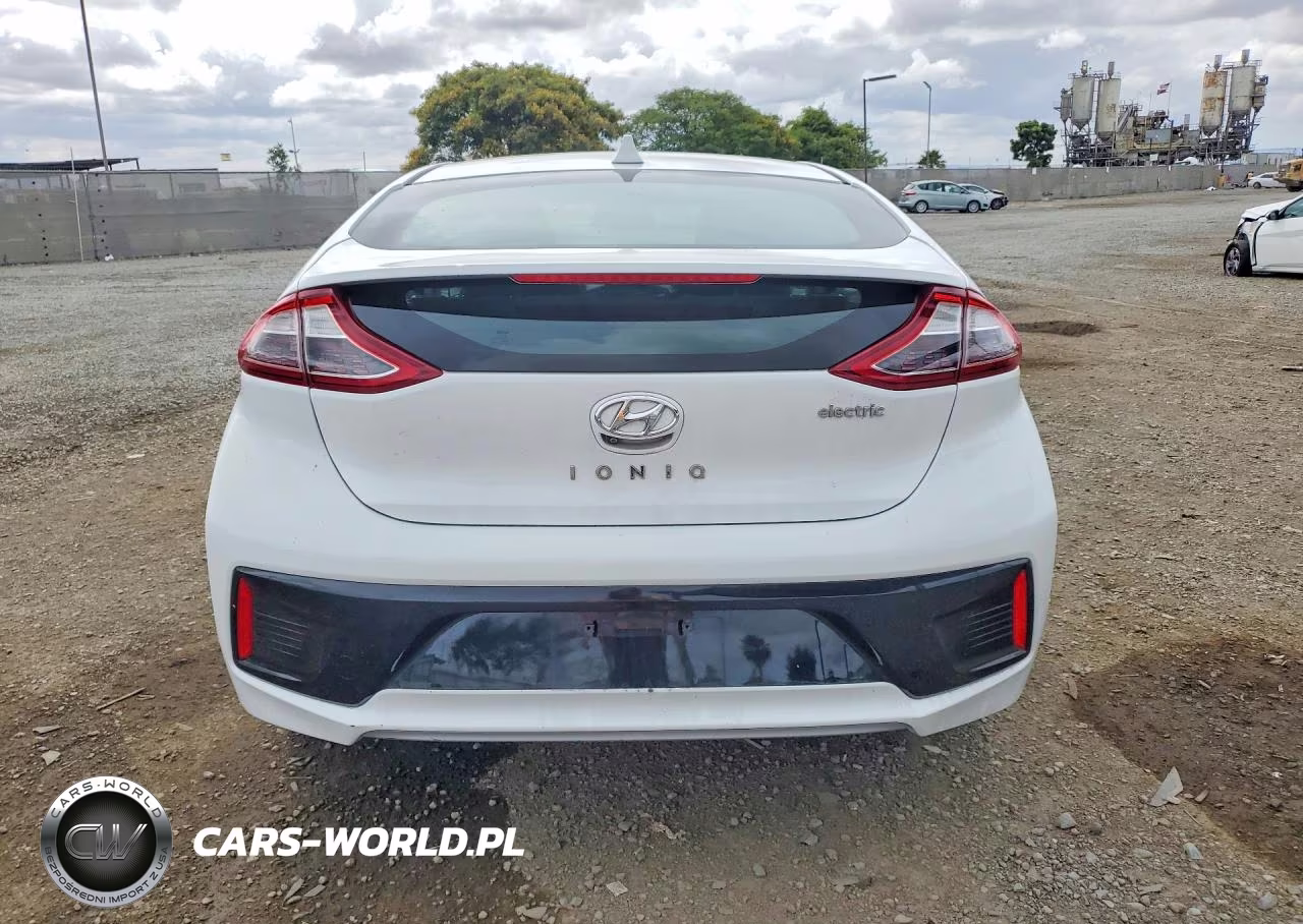 2019 Hyundai Ioniq Electric Base VIN:KMHC75LH3KU045514 - 6