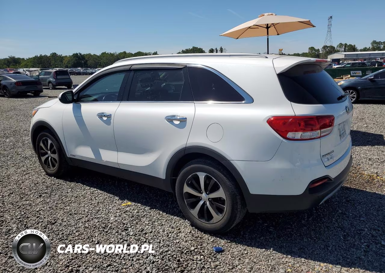 2017 Kia Sorento Ex VIN:5XYPHDA10HG188823 - 2