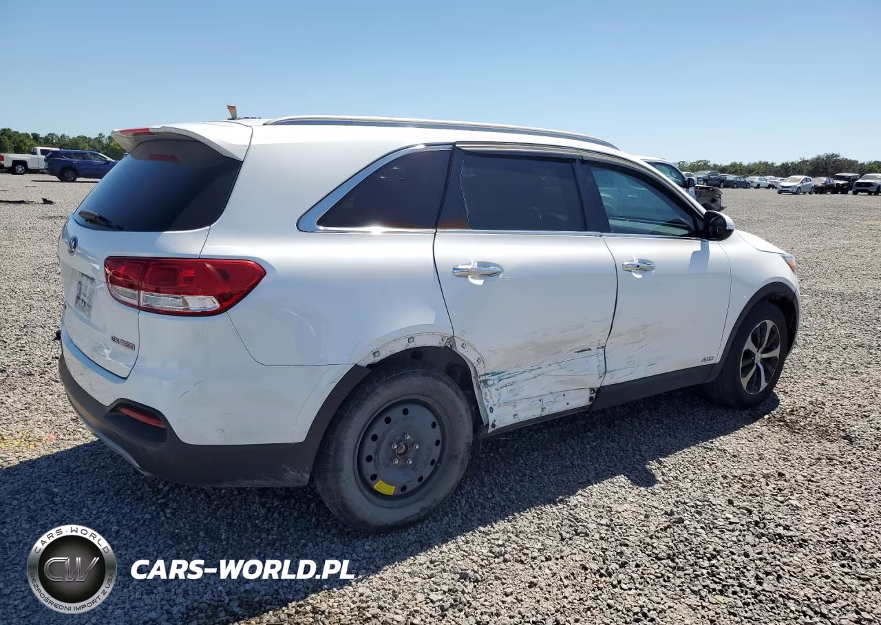 2017 Kia Sorento Ex VIN:5XYPHDA10HG188823 - 3
