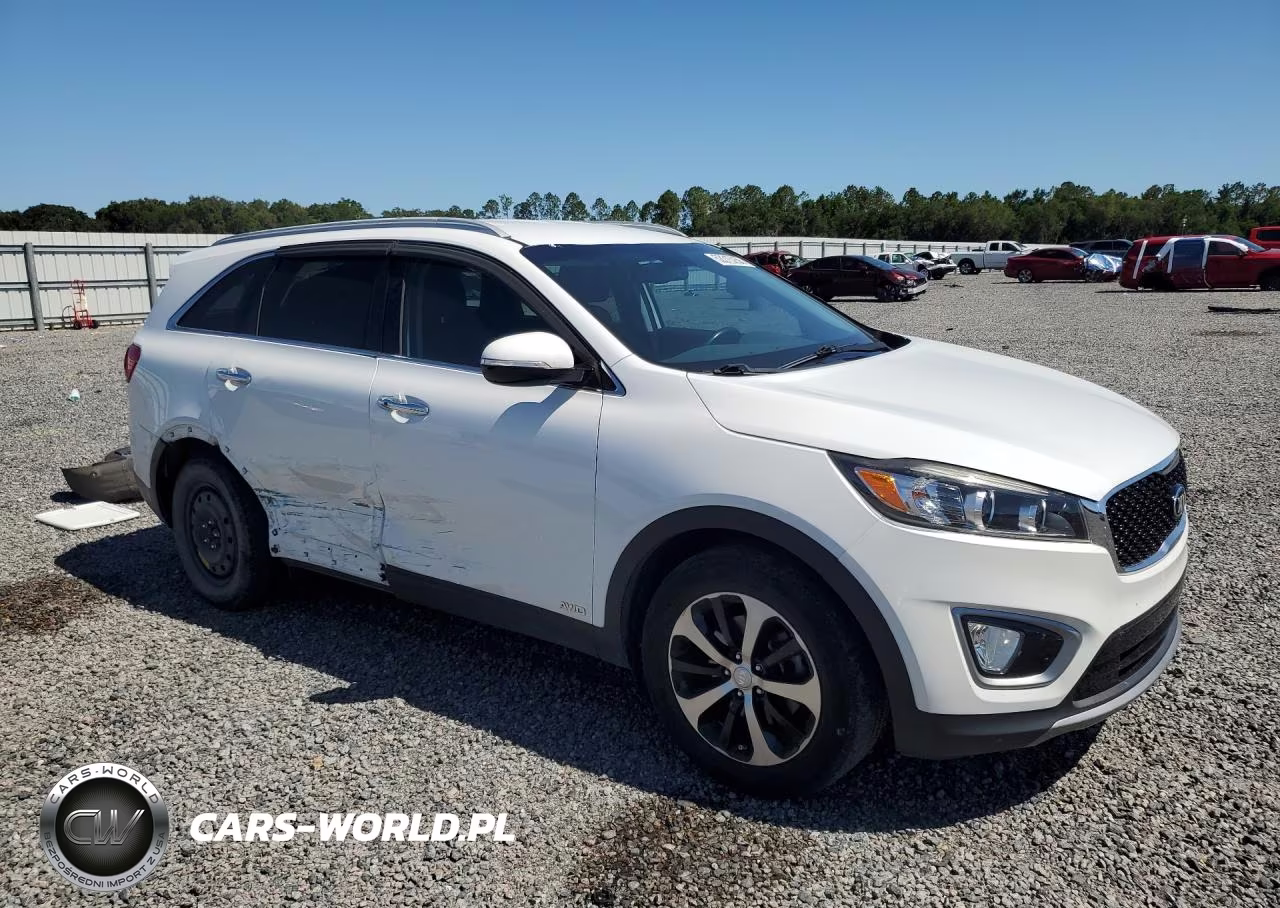 2017 Kia Sorento Ex VIN:5XYPHDA10HG188823 - 4