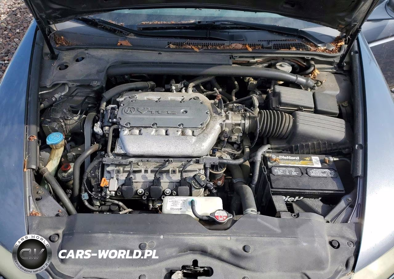 2006 Acura 3.2Tl VIN:19UUA66266A029095 - 11
