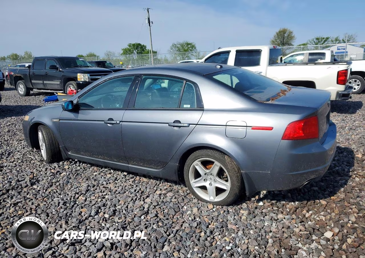 2006 Acura 3.2Tl VIN:19UUA66266A029095 - 2