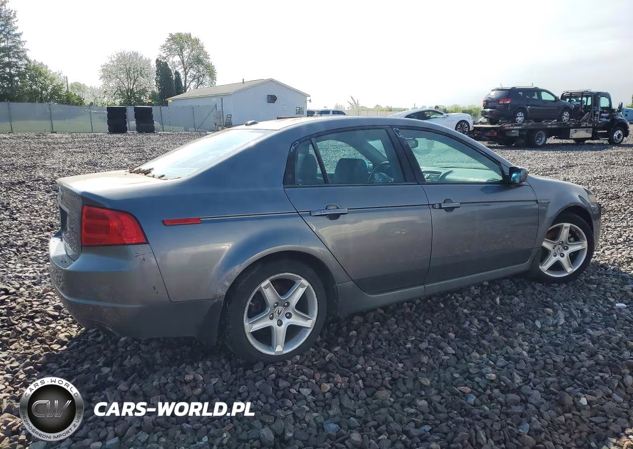 2006 Acura 3.2Tl VIN:19UUA66266A029095 - 3