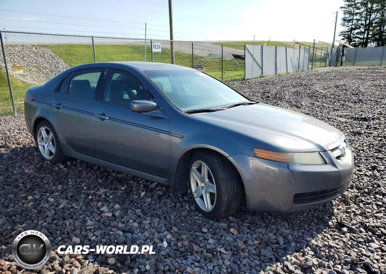 2006 Acura 3.2Tl VIN:19UUA66266A029095 - 4