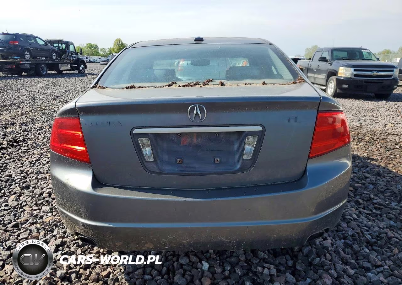 2006 Acura 3.2Tl VIN:19UUA66266A029095 - 6