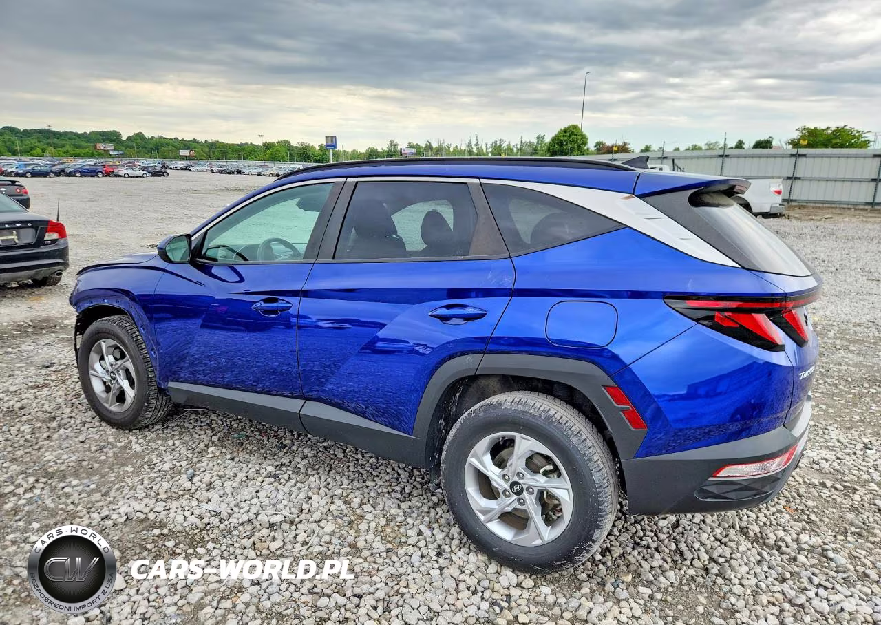 2024 Hyundai Tucson Sel VIN:5NMJBCDE5RH307571 - 2