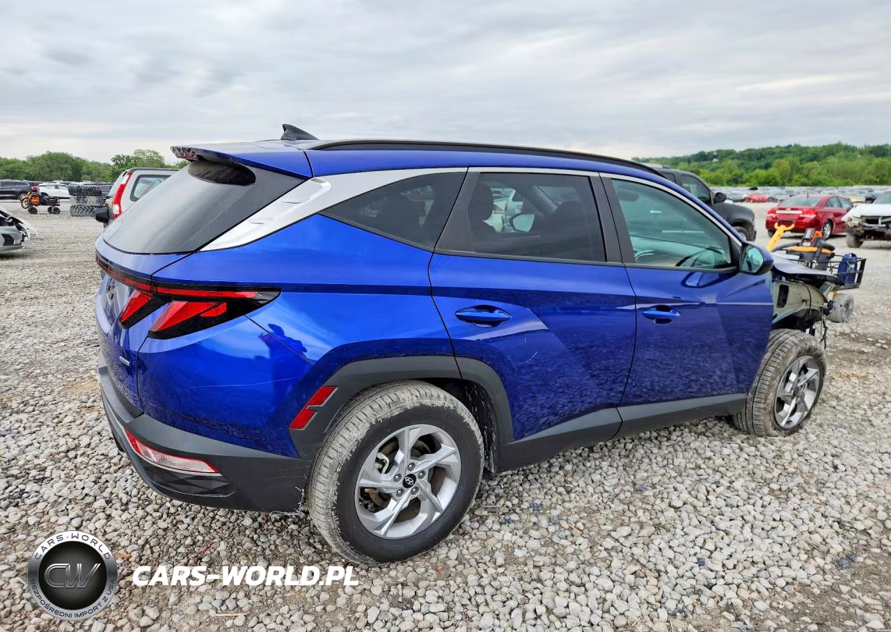 2024 Hyundai Tucson Sel VIN:5NMJBCDE5RH307571 - 3
