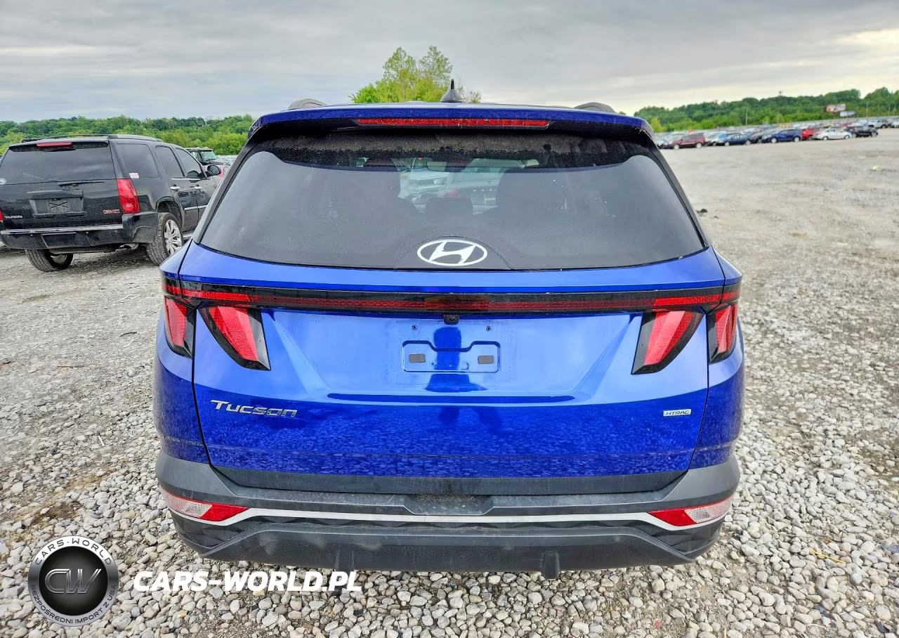 2024 Hyundai Tucson Sel VIN:5NMJBCDE5RH307571 - 6