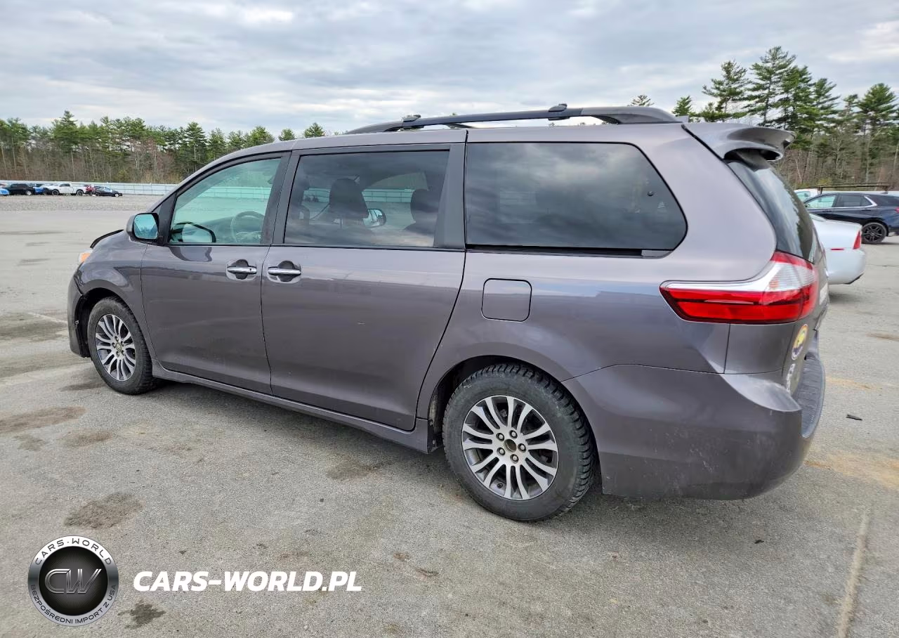 2019 Toyota Sienna Xle 8-Passenger VIN:5TDYZ3DC3KS988776 - 2