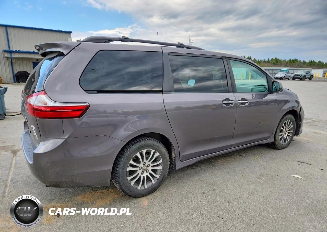 2019 Toyota Sienna Xle 8-Passenger VIN:5TDYZ3DC3KS988776 - 3