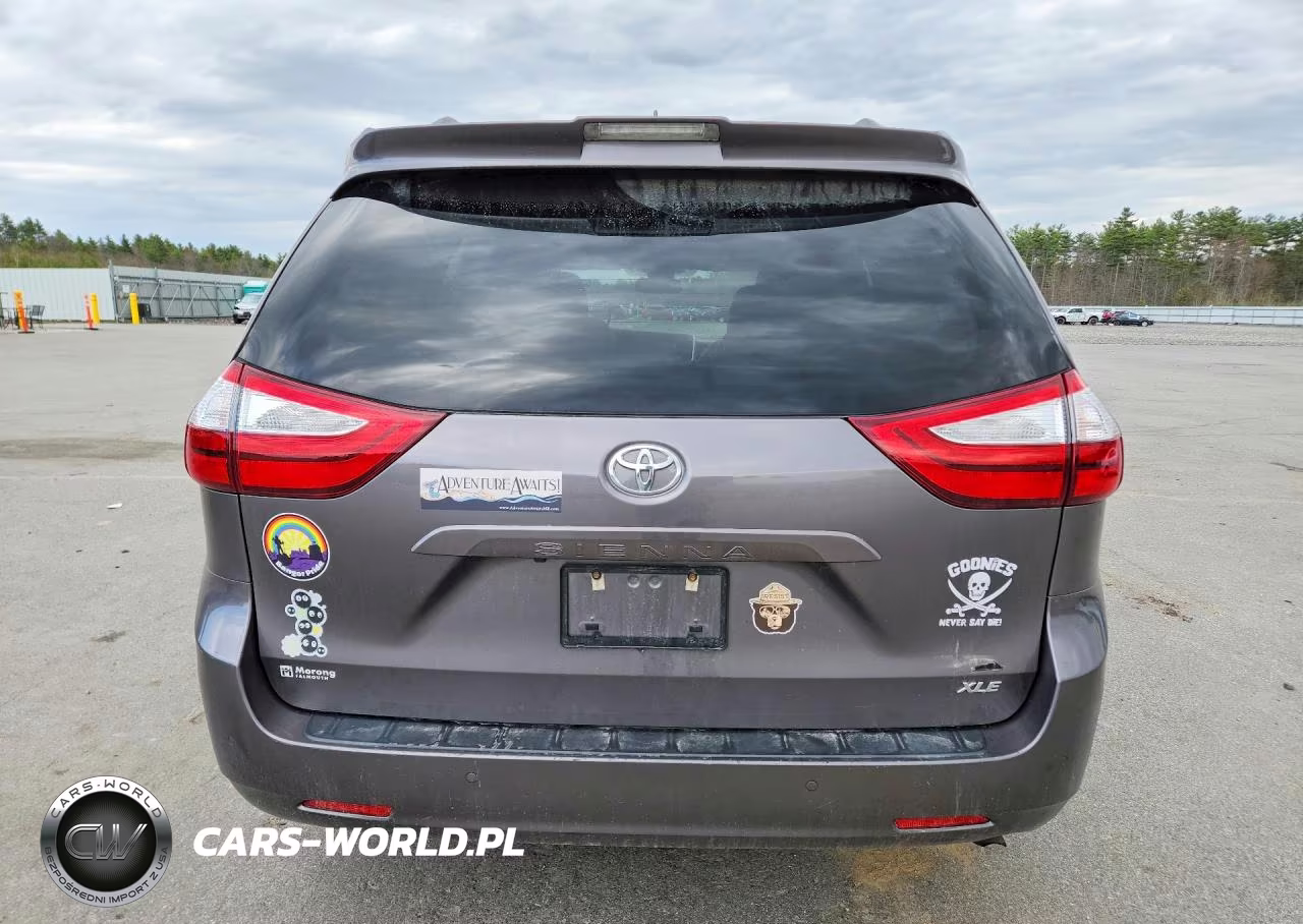 2019 Toyota Sienna Xle 8-Passenger VIN:5TDYZ3DC3KS988776 - 6