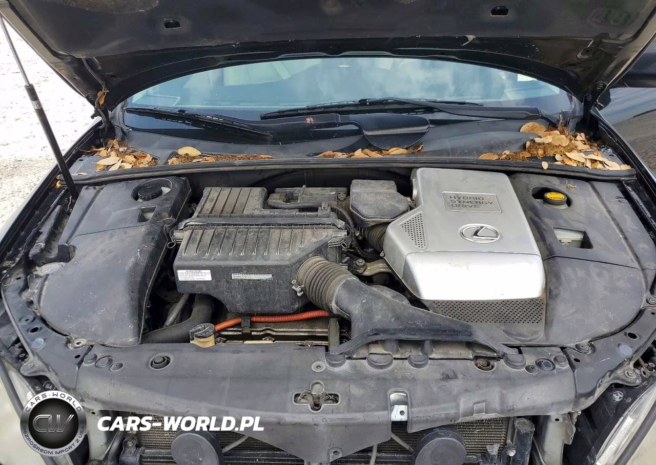 2006 Lexus Rx 400 VIN:JTJHW31U062006461 - 12
