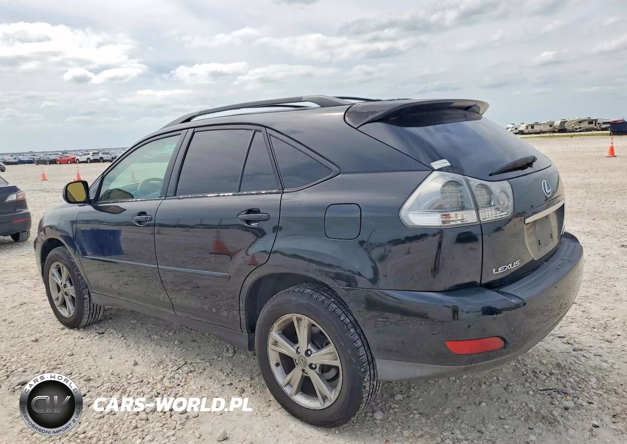 2006 Lexus Rx 400 VIN:JTJHW31U062006461 - 2