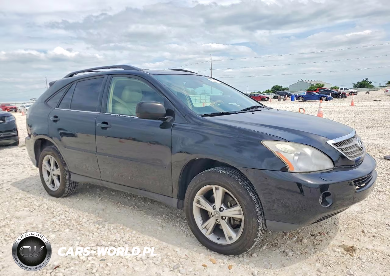 2006 Lexus Rx 400 VIN:JTJHW31U062006461 - 4