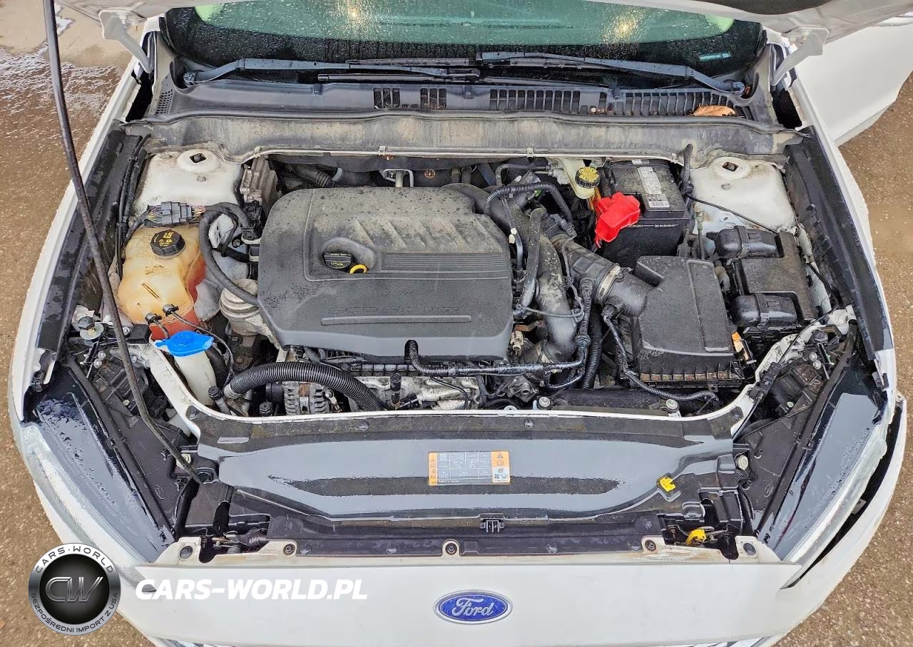2014 Ford Fusion Se VIN:1FA6P0HDXE5371096 - 11