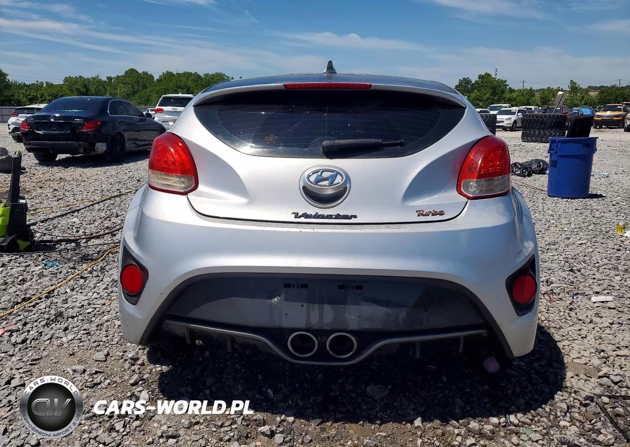 2013 Hyundai Veloster Turbo VIN:KMHTC6AE9DU152550 - 6