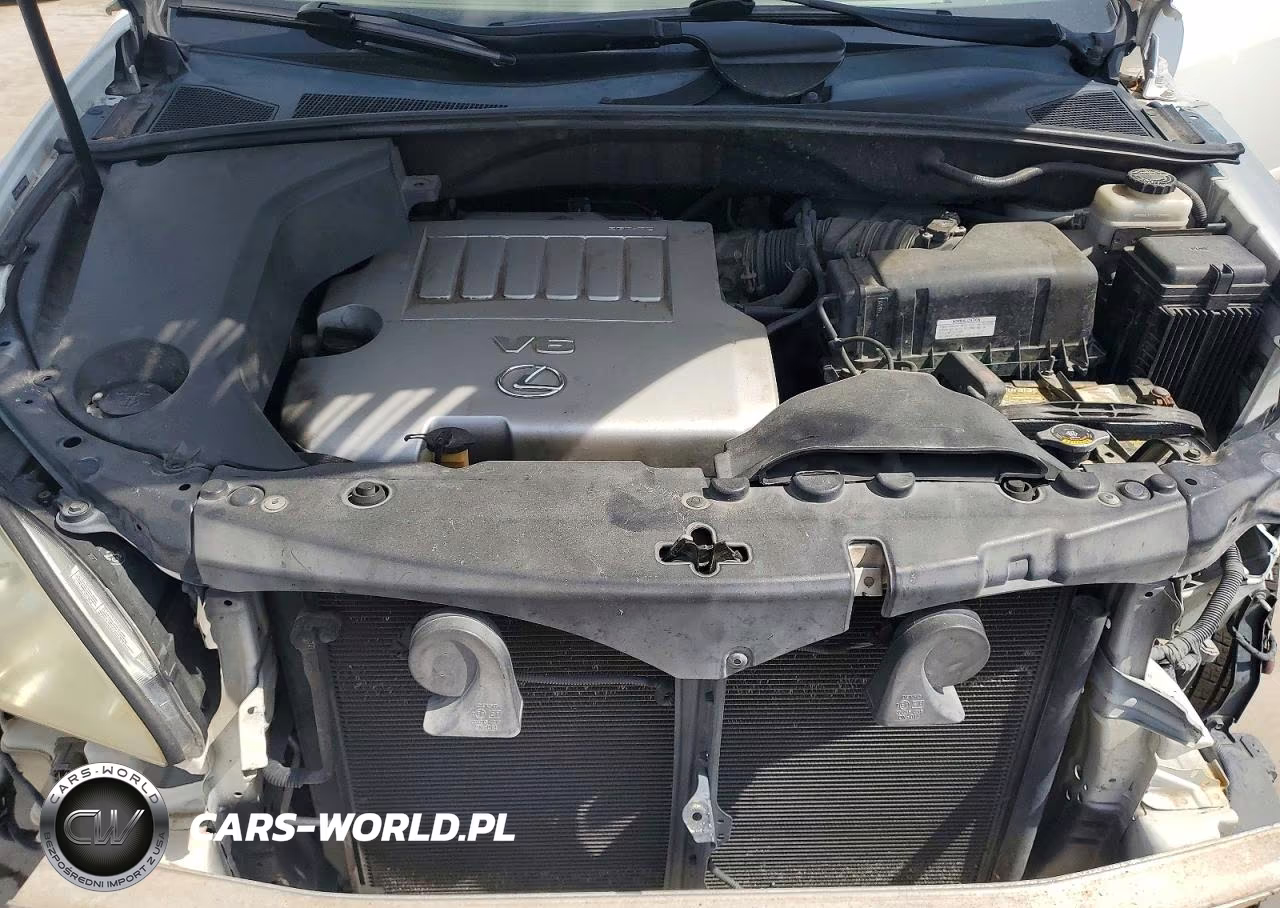 2009 Lexus Rx 350 VIN:2T2GK31U29C081335 - 12