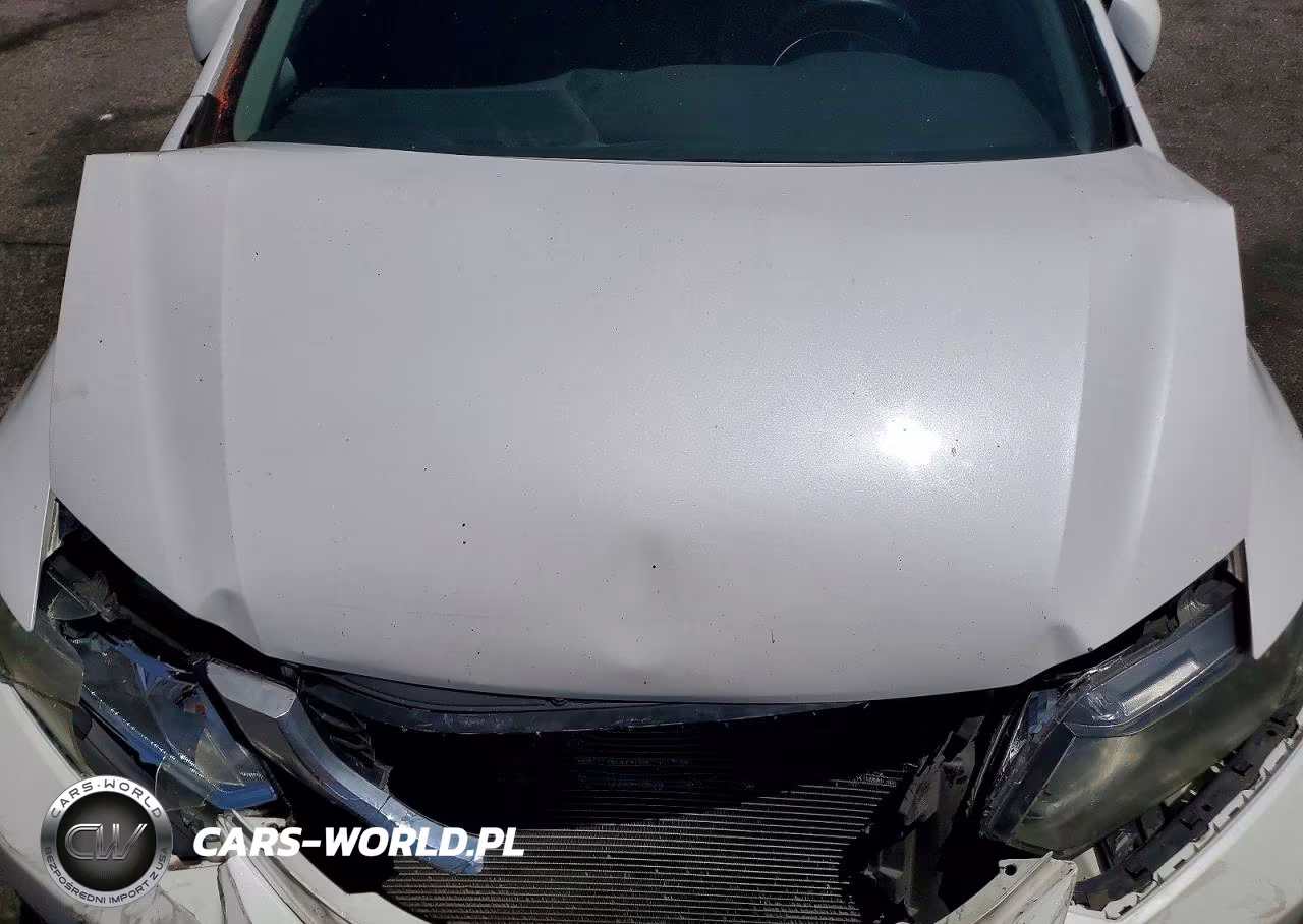 2013 Honda Civic Exl VIN:19XFB2F9XDE217039 - 11