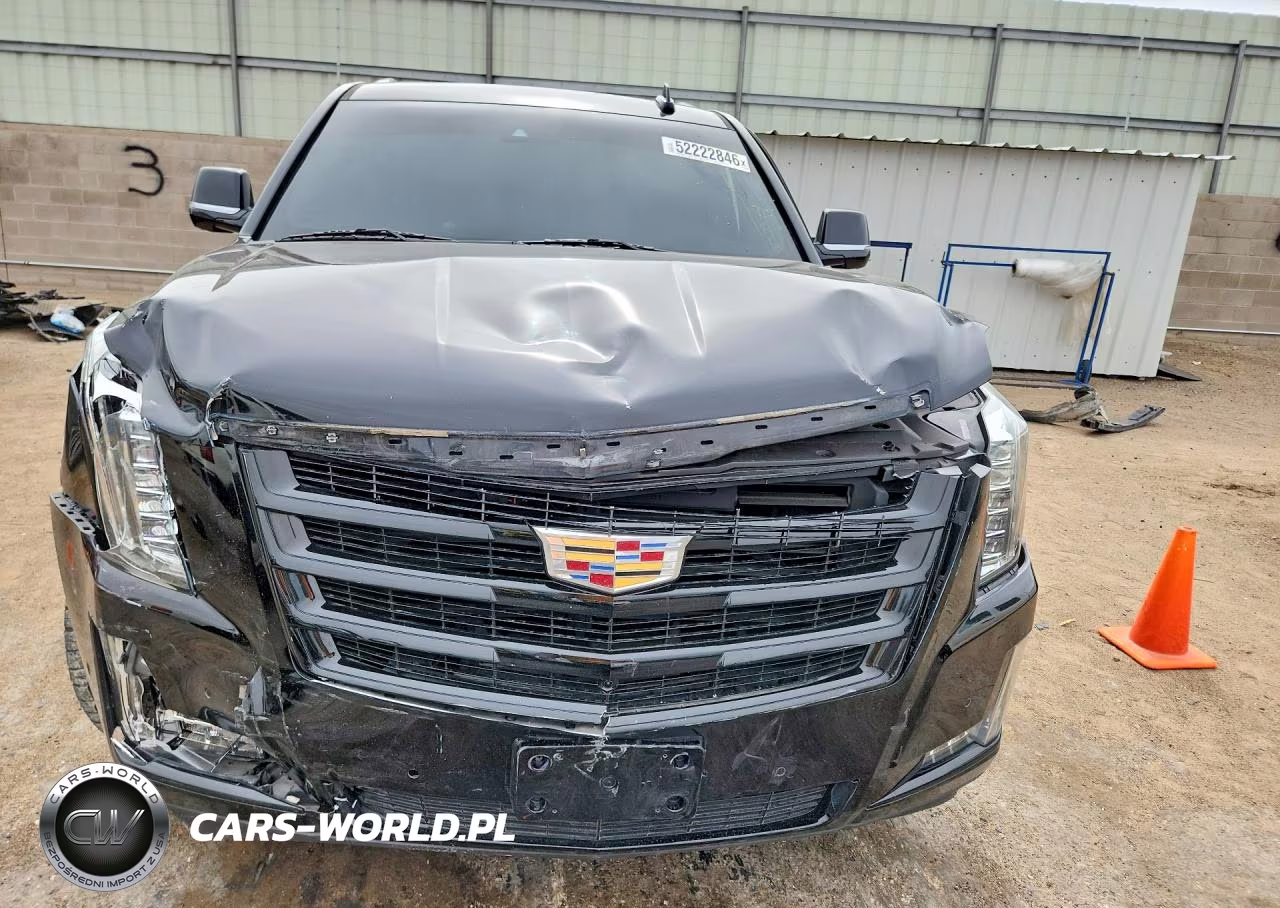 2019 Cadillac Escalade Luxury VIN:1GYS4BKJ0KR346606 - 5