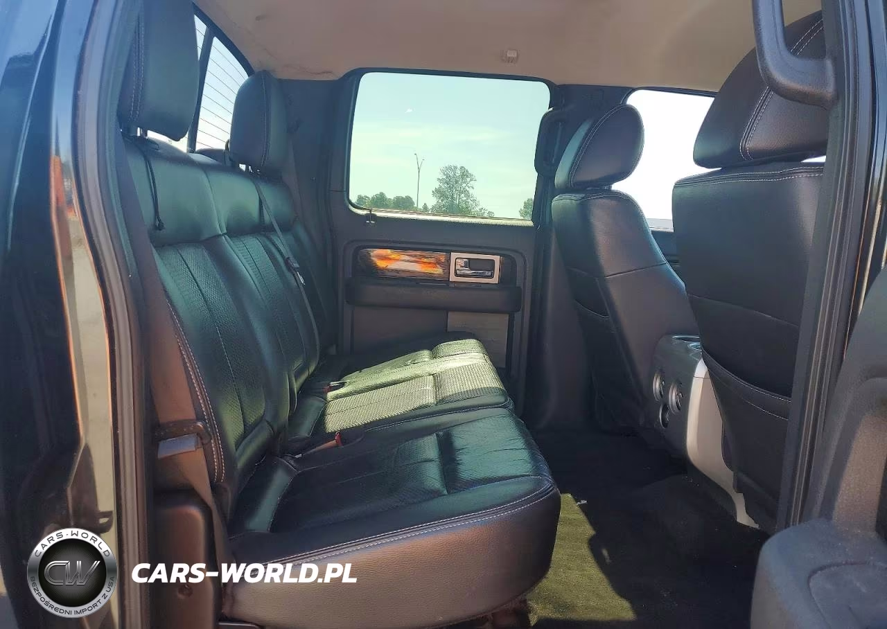 2010 Ford F150 Supercrew VIN:1FTFW1EV0AFC75224 - 10