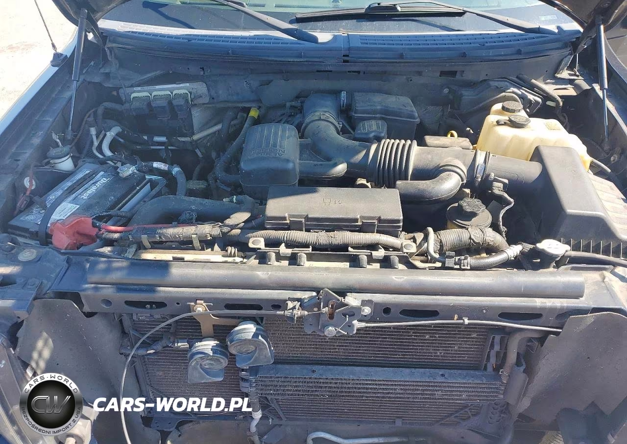 2010 Ford F150 Supercrew VIN:1FTFW1EV0AFC75224 - 11