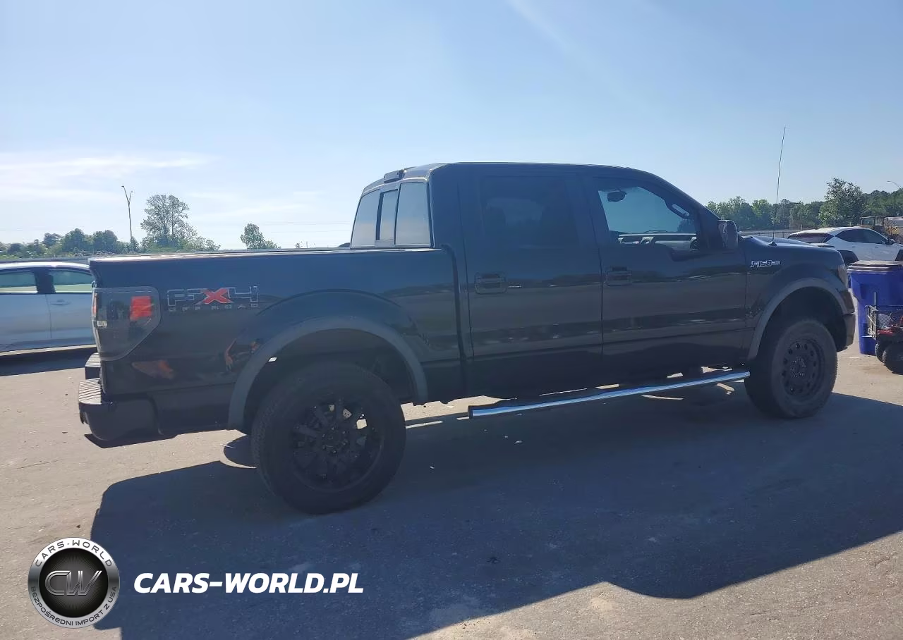 2010 Ford F150 Supercrew VIN:1FTFW1EV0AFC75224 - 3
