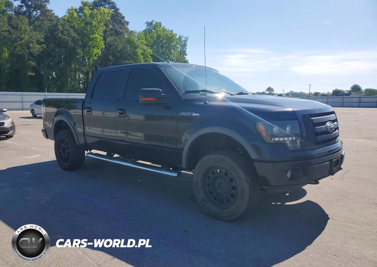 2010 Ford F150 Supercrew VIN:1FTFW1EV0AFC75224 - 4