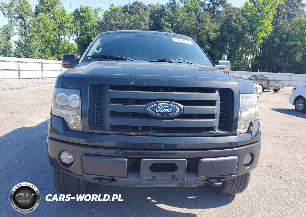 2010 Ford F150 Supercrew VIN:1FTFW1EV0AFC75224 - 5