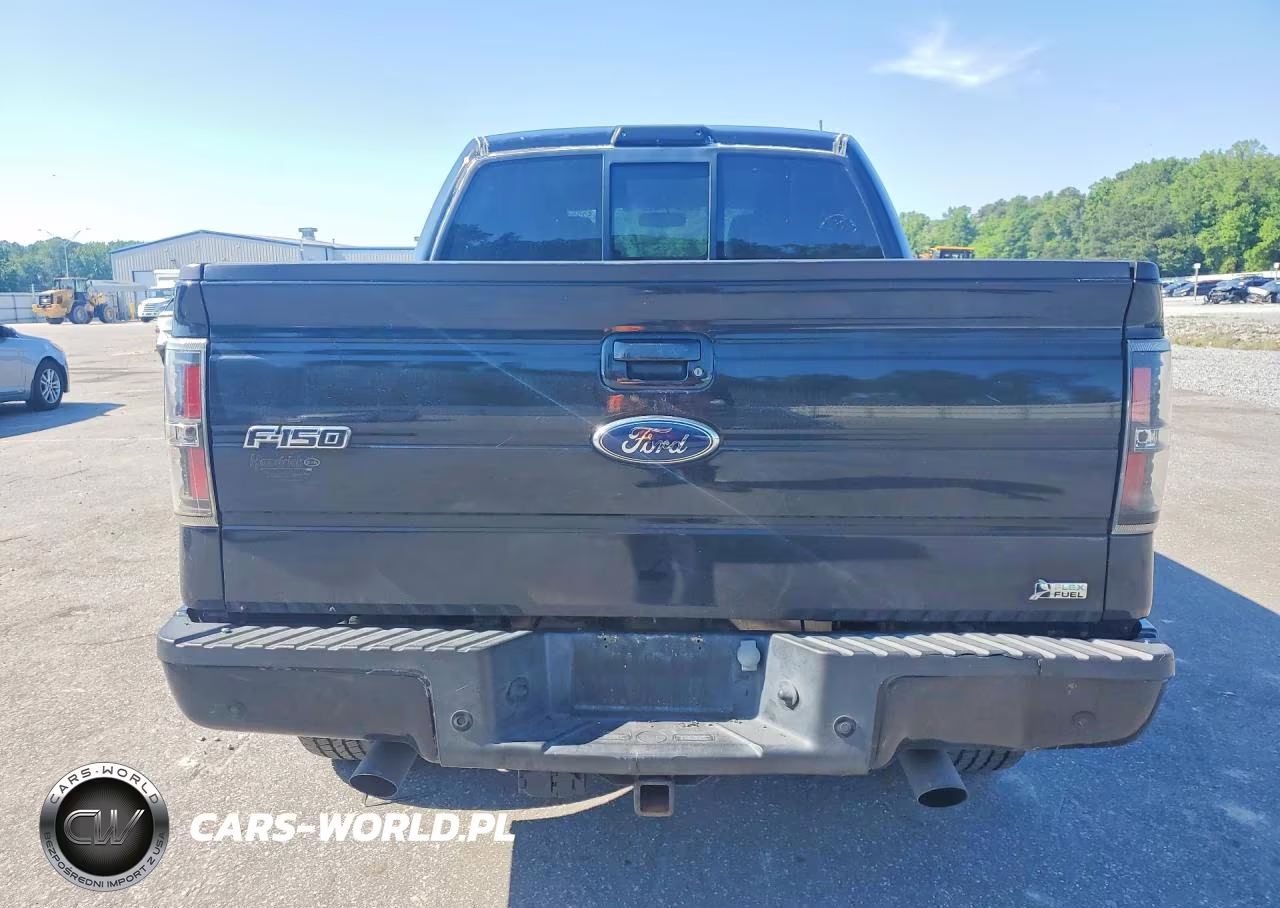 2010 Ford F150 Supercrew VIN:1FTFW1EV0AFC75224 - 6