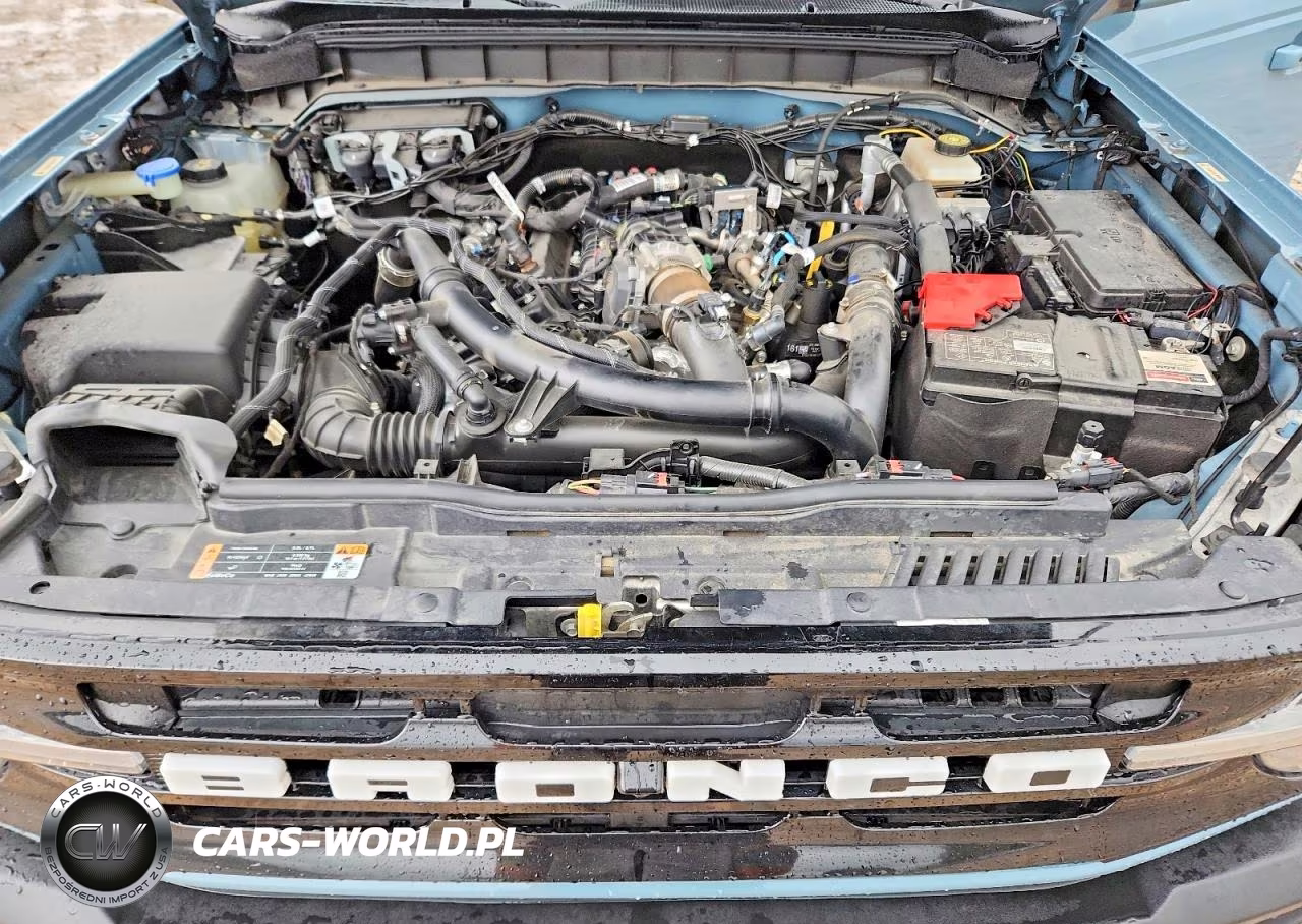 2022 Ford Bronco Base VIN:1FMEE5BP1NLB49162 - 12