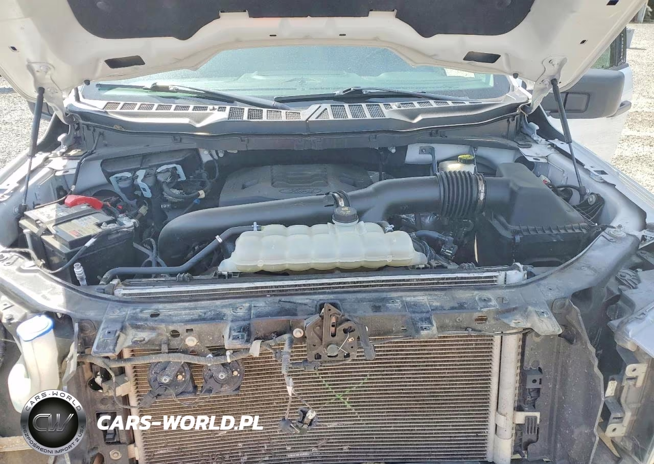 2023 Ford F150 Supercrew VIN:1FTFW1E86PFA74611 - 11