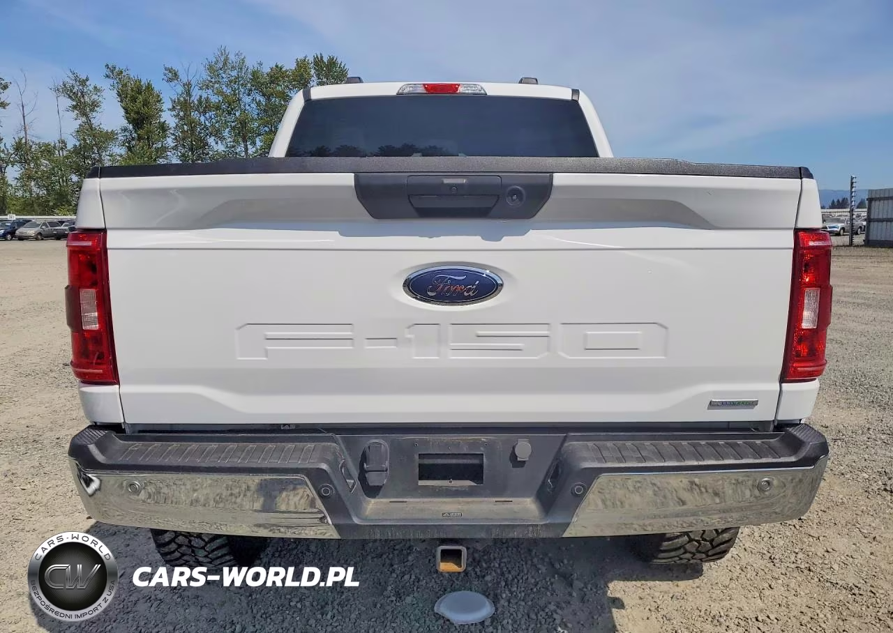 2023 Ford F150 Supercrew VIN:1FTFW1E86PFA74611 - 6