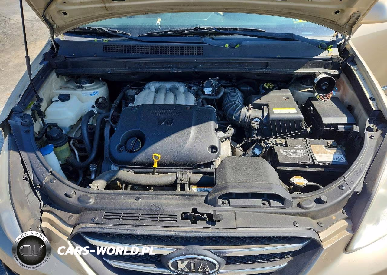 2008 Kia Rondo Lx VIN:KNAFG526587164302 - 11