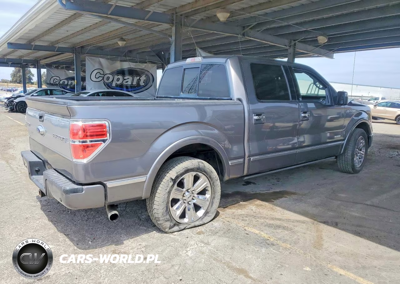 2011 Ford F150 Supercrew VIN:1FTFW1CT4BFB03460 - 3