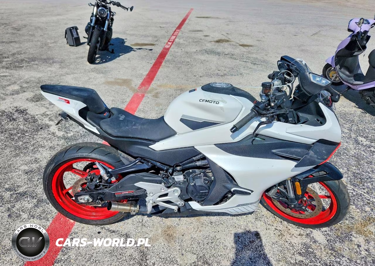 2025 Cf Moto 450Ss