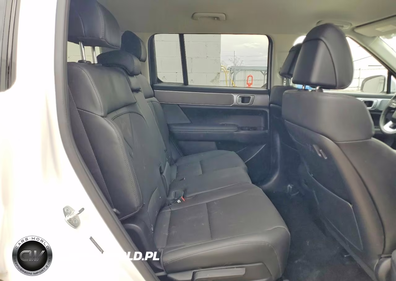 2025 Hyundai Santa Fe Sel VIN:5NMP2DGL3SH099996 - 11