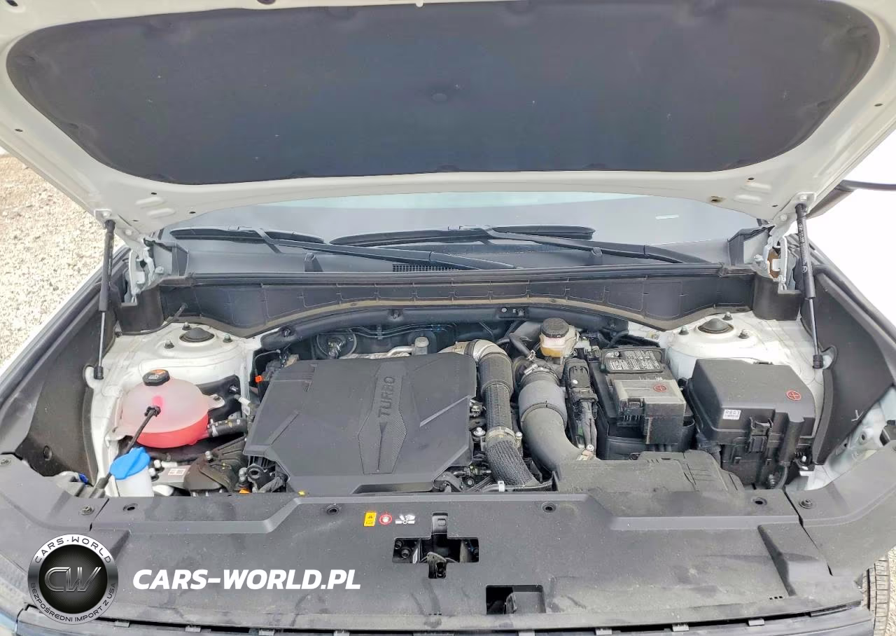 2025 Hyundai Santa Fe Sel VIN:5NMP2DGL3SH099996 - 12